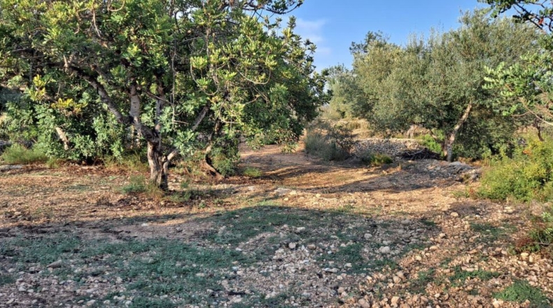 Tarragona - Vinallop - 22026m2