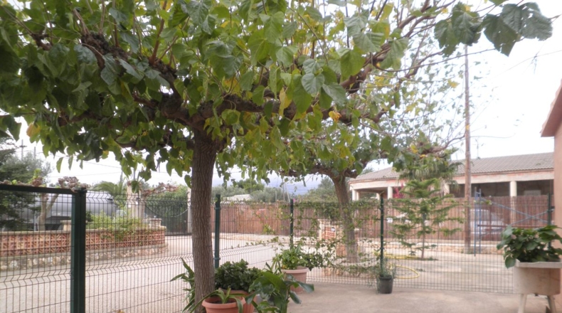 Tarragona - Tortosa - 5000m2