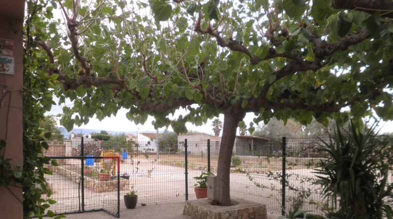 Tarragona - Tortosa - 5000m2