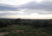 Finca rústica en venda a Tortosa ref.: TR274535 foto