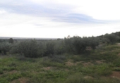Finca rústica en venda a Tortosa ref.: TR274535 foto