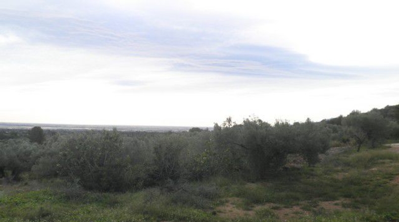 Tarragona - Tortosa - 58198m2