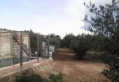 Finca rústica en venda a Tortosa ref.: TR274535 foto