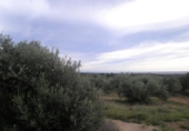 Finca rústica en venda a Tortosa ref.: TR274535 foto