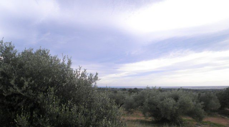 Tarragona - Tortosa - 58198m2