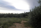 Finca rústica en venda a Tortosa ref.: TR274535 foto
