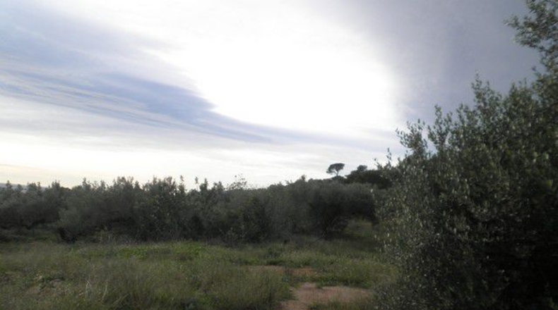 Tarragona - Tortosa - 58198m2