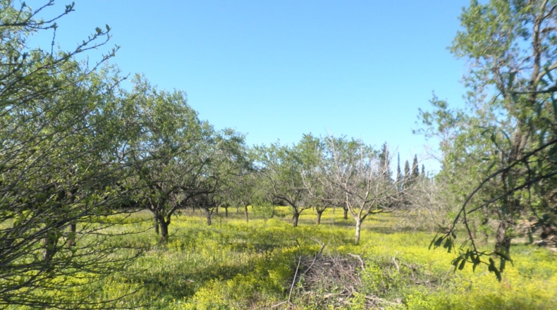 Tarragona - Aldover - 4154m2