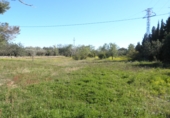 Terreno no urbanizable en venta en Aldover ref: TR232664 foto