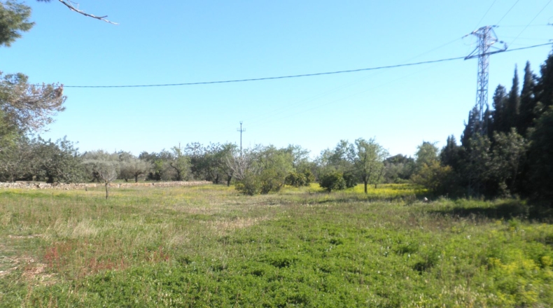 Tarragona - Aldover - 4154m2