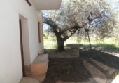 Terreno no urbanizable en venta en Aldover ref: TR232664 foto