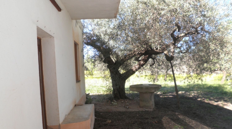 Tarragona - Aldover - 4154m2