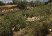 Отдельно стоящий дом с участком на продажу в городе Tortosa. Фото