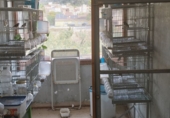 Дом с участком на продажу в городе Xerta. Фото