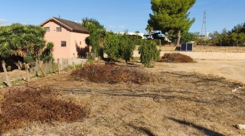 Tarragona - Tortosa - 1609m2