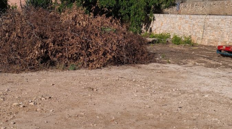 Tarragona - Tortosa - 1609m2