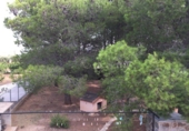 Xalet independent amb terreny en venda a Roquetes ref.: TR355118 foto