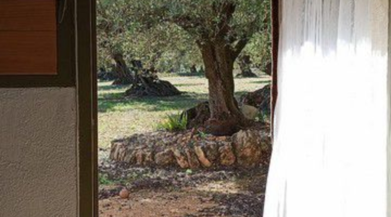 Tarragona - Roquetes - 33976m2