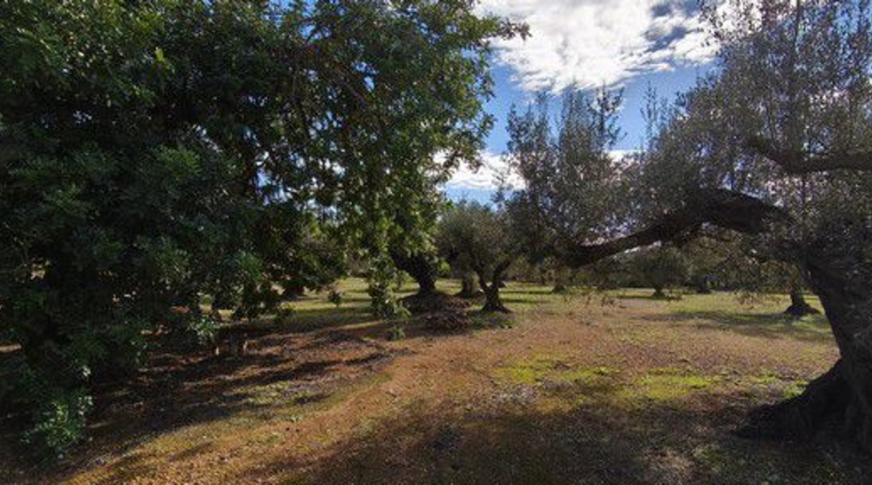 Tarragona - Roquetes - 33976m2