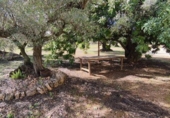 Finca rústica en venda a Roquetes ref.: TR356353 foto