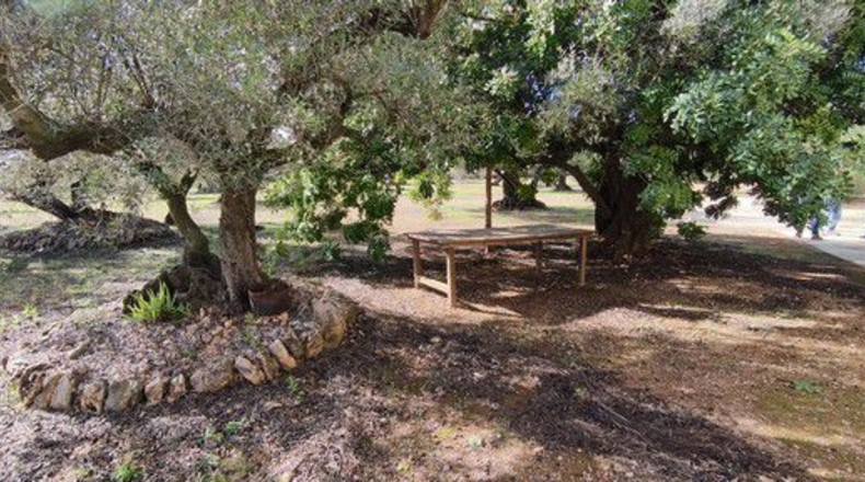 Tarragona - Roquetes - 33976m2