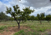 Chalet independiente con terreno en venta en Tortosa ref: TR375726 foto