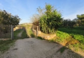 Chalet independiente con terreno en venta en Tortosa ref: TR375726 foto
