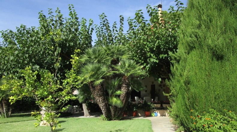 Tarragona - Tortosa - 2487m2