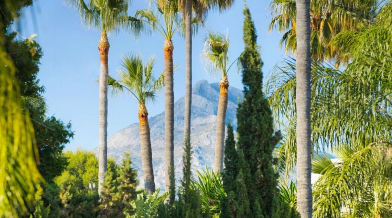 Málaga - Marbella - 1542m2