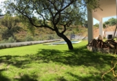 Chalet independiente con terreno en alquiler en Marbella ref: TR284905 foto
