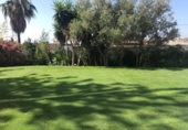 Chalet independiente con terreno en venta en Marbella ref: TR15226 foto