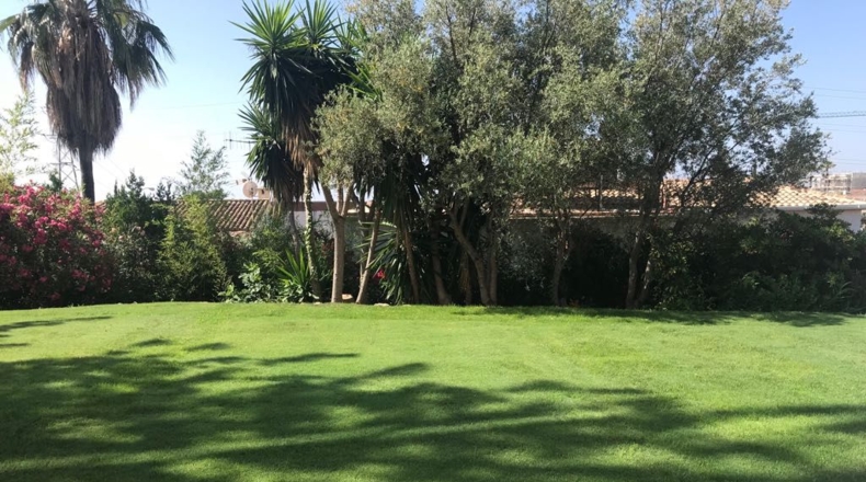 Málaga - Marbella - 1100m2