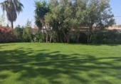 Chalet independiente con terreno en venta en Marbella ref: TR15226 foto