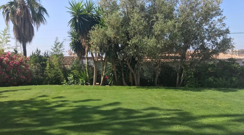 Málaga - Marbella - 1100m2