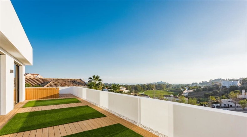 Málaga - La Cocha - 1235m2