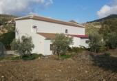 Земельный участок на продажу в городе Antequera. Фото