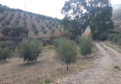 Земельный участок на продажу в городе Antequera. Фото