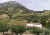 Земельный участок на продажу в городе Antequera. Фото