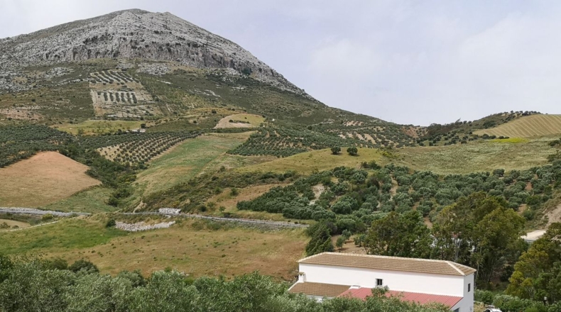 Málaga - Bobadilla - 75000m2