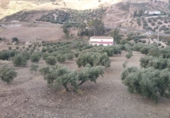 Земельный участок на продажу в городе Antequera. Фото