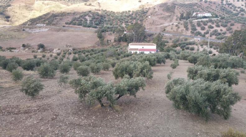 Málaga - Bobadilla - 75000m2