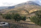 Земельный участок на продажу в городе Antequera. Фото