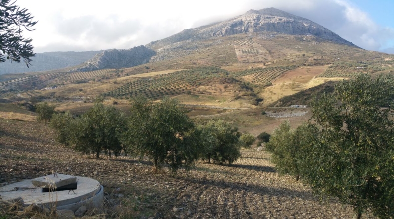 Málaga - Bobadilla - 75000m2