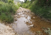 Земельный участок на продажу в городе Antequera. Фото