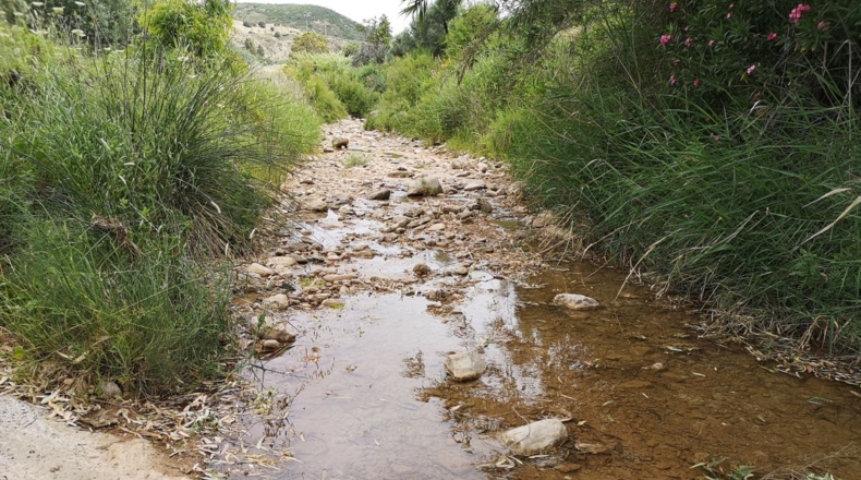 Málaga - Bobadilla - 75000m2