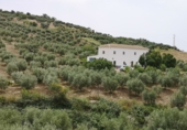 Земельный участок на продажу в городе Antequera. Фото