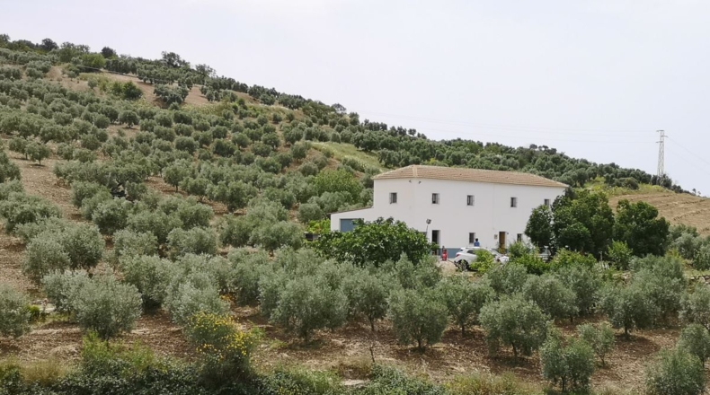 Málaga - Bobadilla - 75000m2