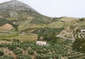 Земельный участок на продажу в городе Antequera. Фото