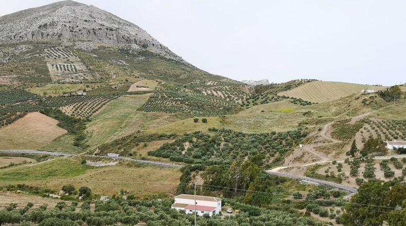 Málaga - Bobadilla - 75000m2
