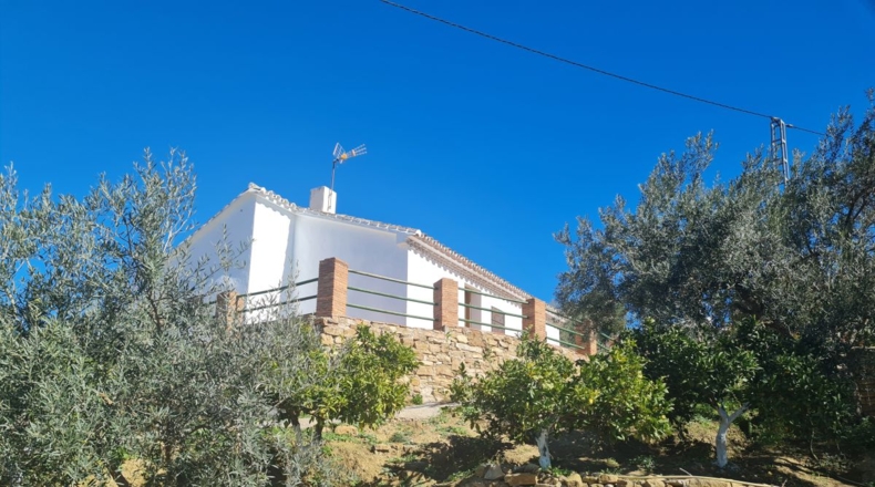 Málaga - Antequera - 3100m2